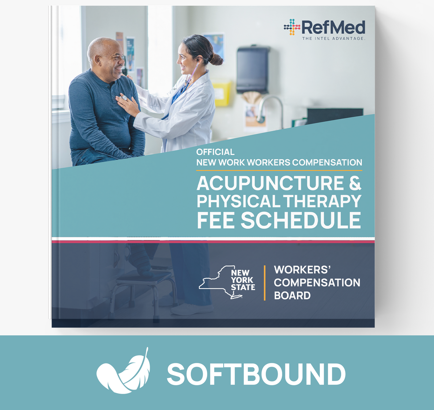 Official New York State Workers’ Comp Acupuncture and Physical & Occupational Therapy Fee Schedule (Softbound)
